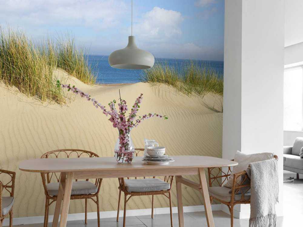 Klitgang til stranden