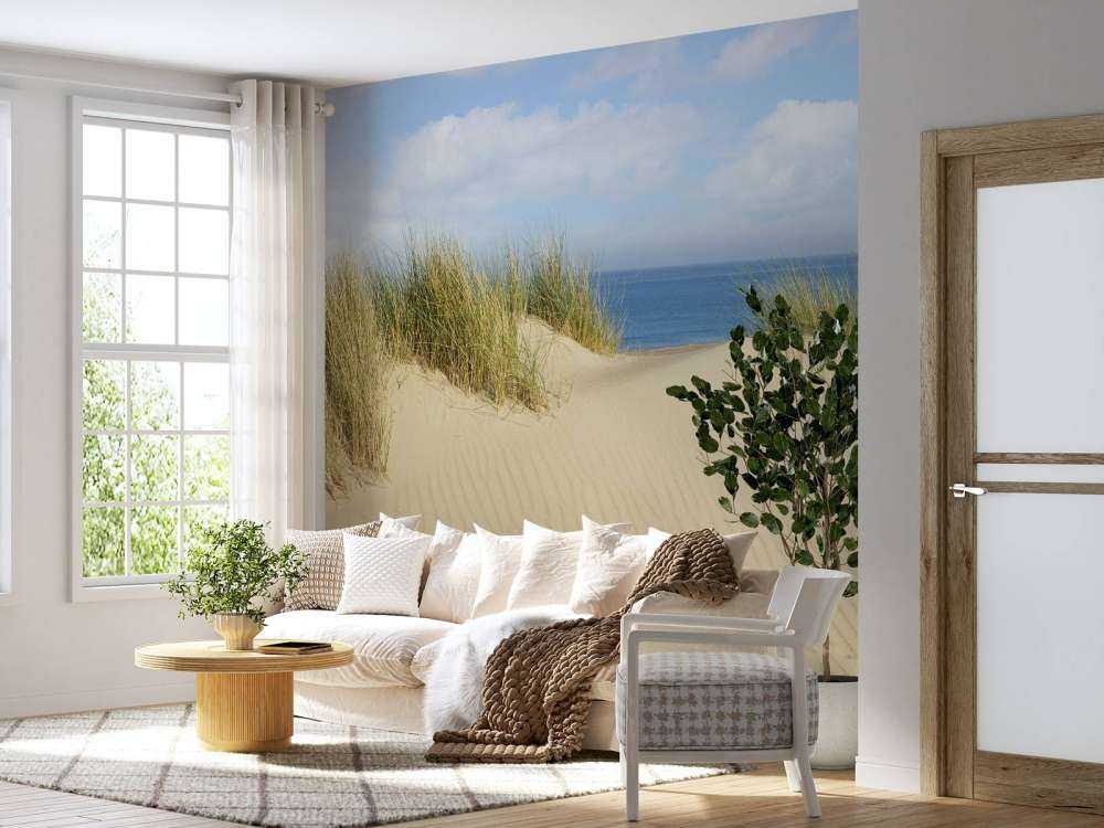 Klitgang til stranden