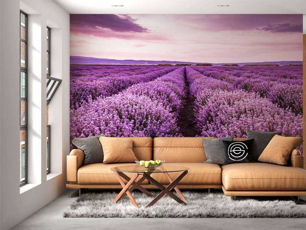 Lavendel buske