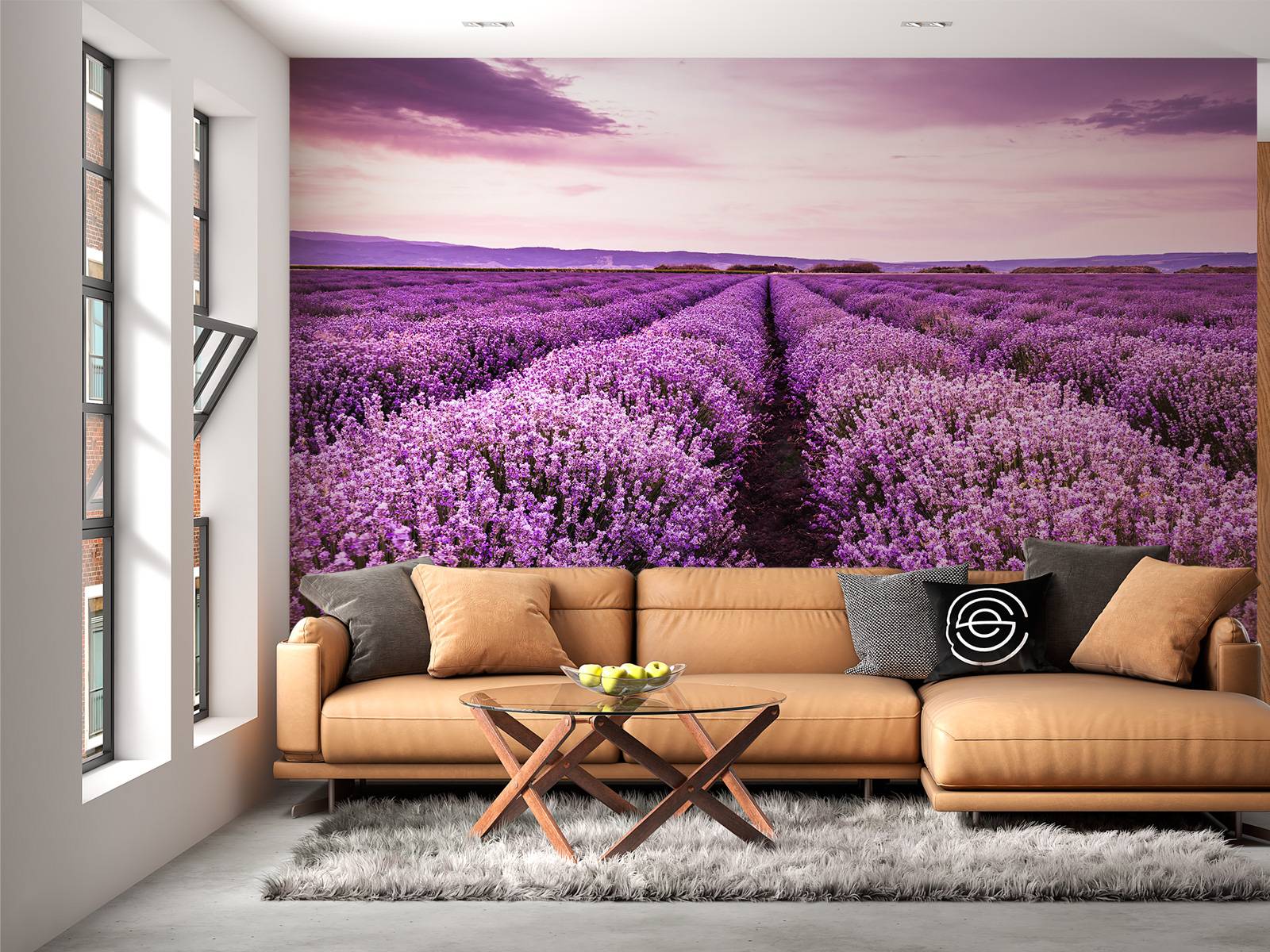 Lavendel buske