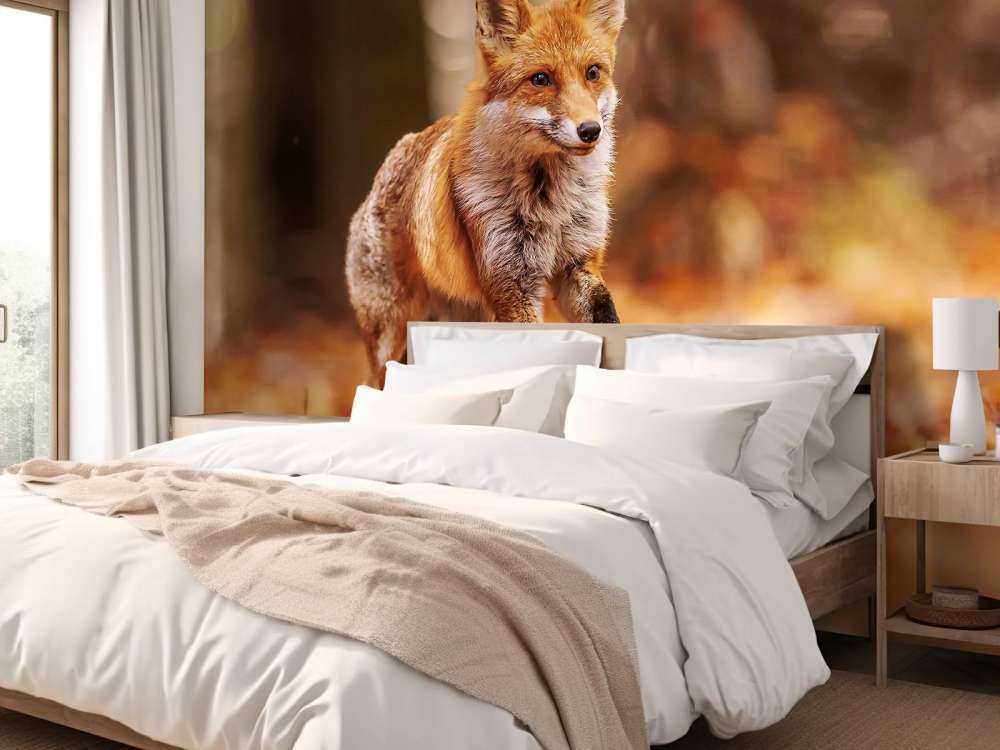 Efterårsflugt Ræveslag