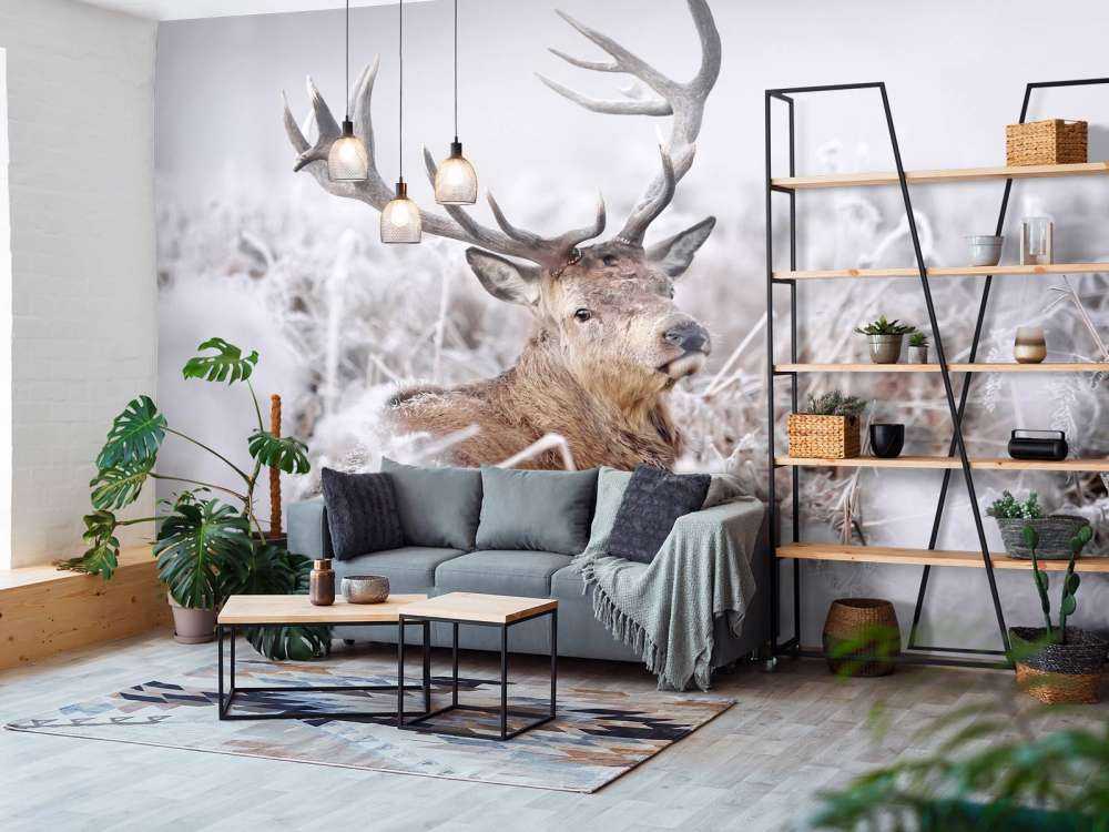 Kronhjortens vinterdrøm