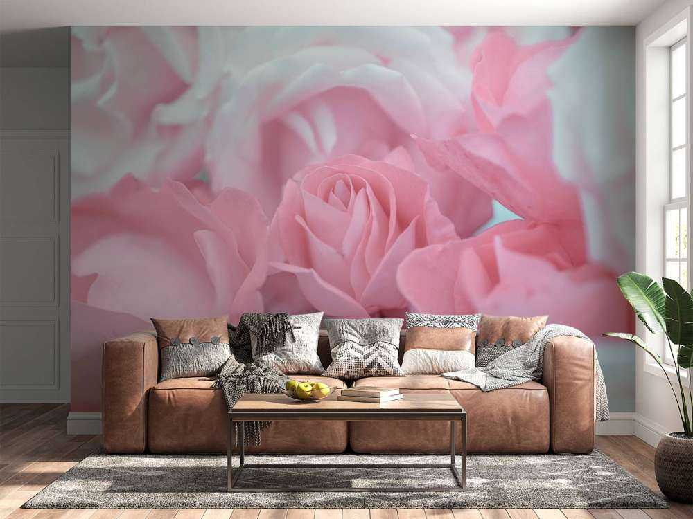 Rose blomster