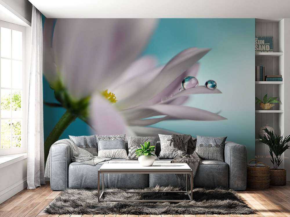 In turquoise Company