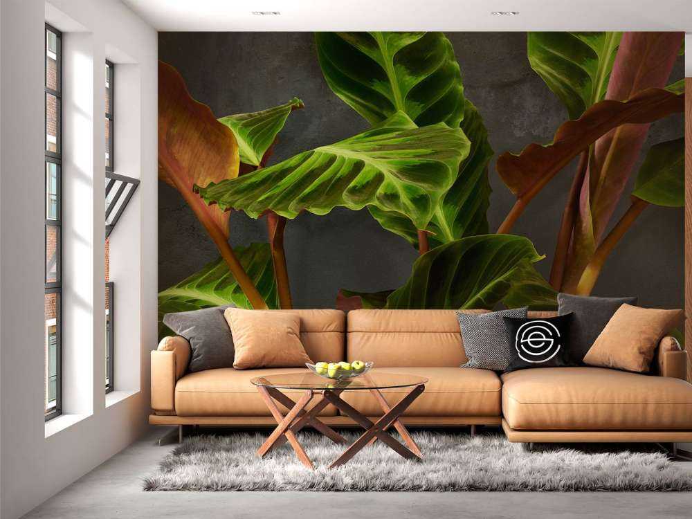 Plante med vakre grønne blader