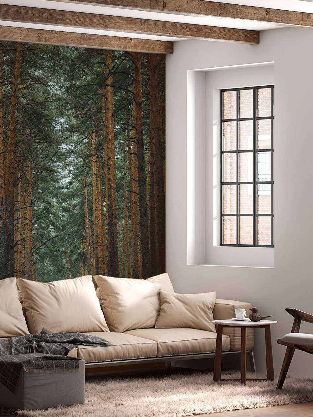 The Forest road 1