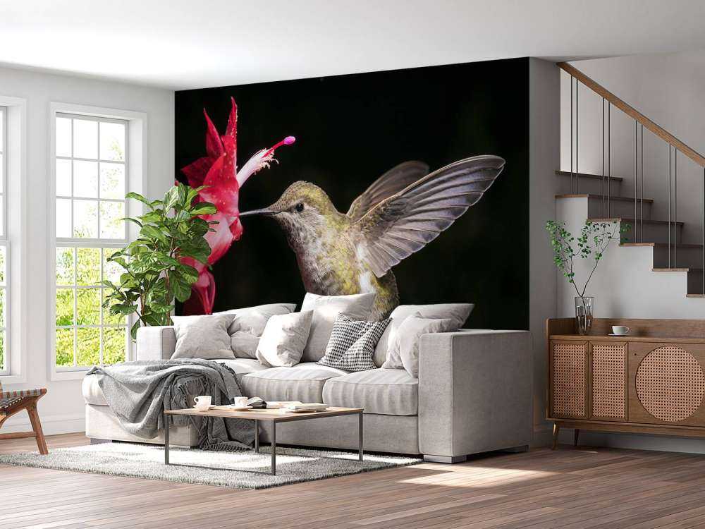 Kolibri med rød blomst