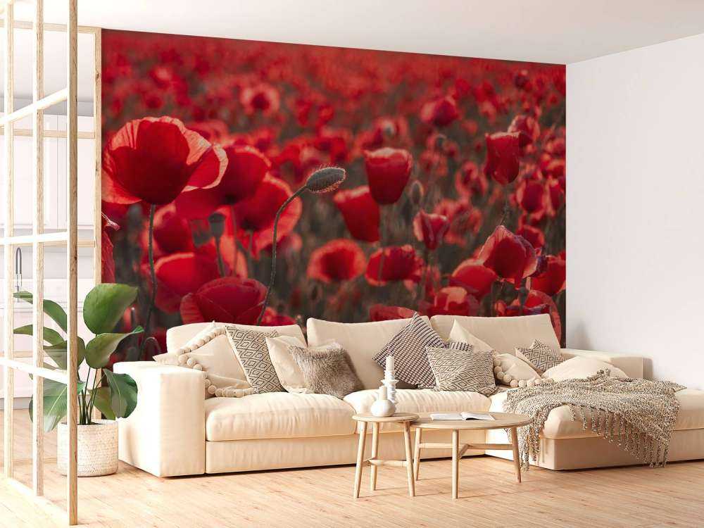 Valmuer i mørk stil