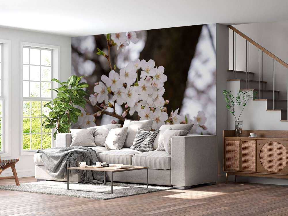 Hvite blomster