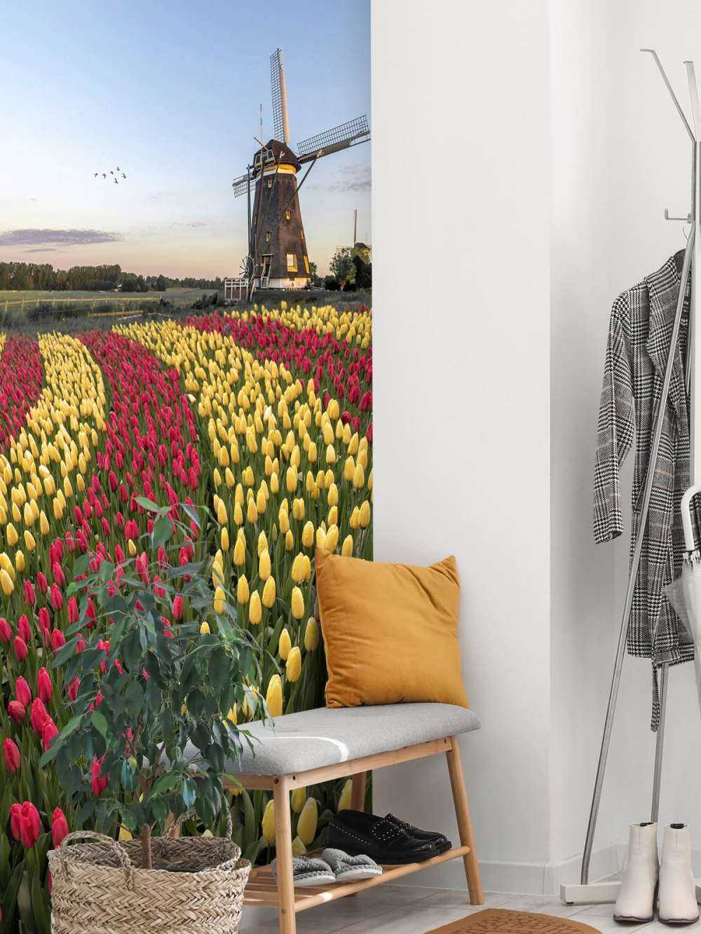 Nederlandsk tulipanfelt