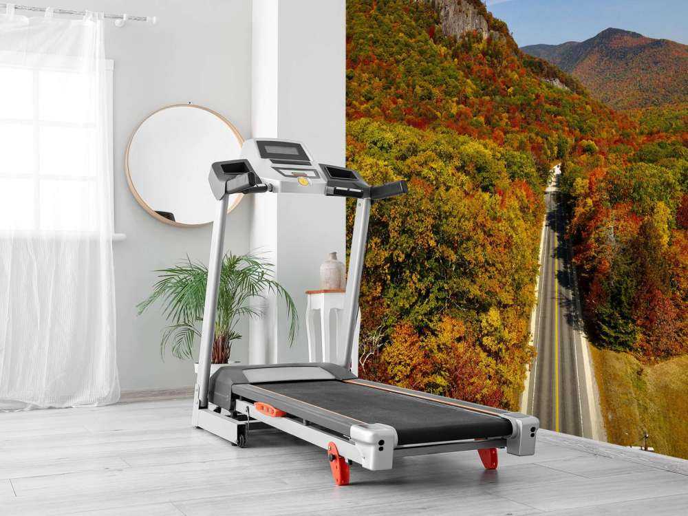 Veien gjennom høstlandskapet