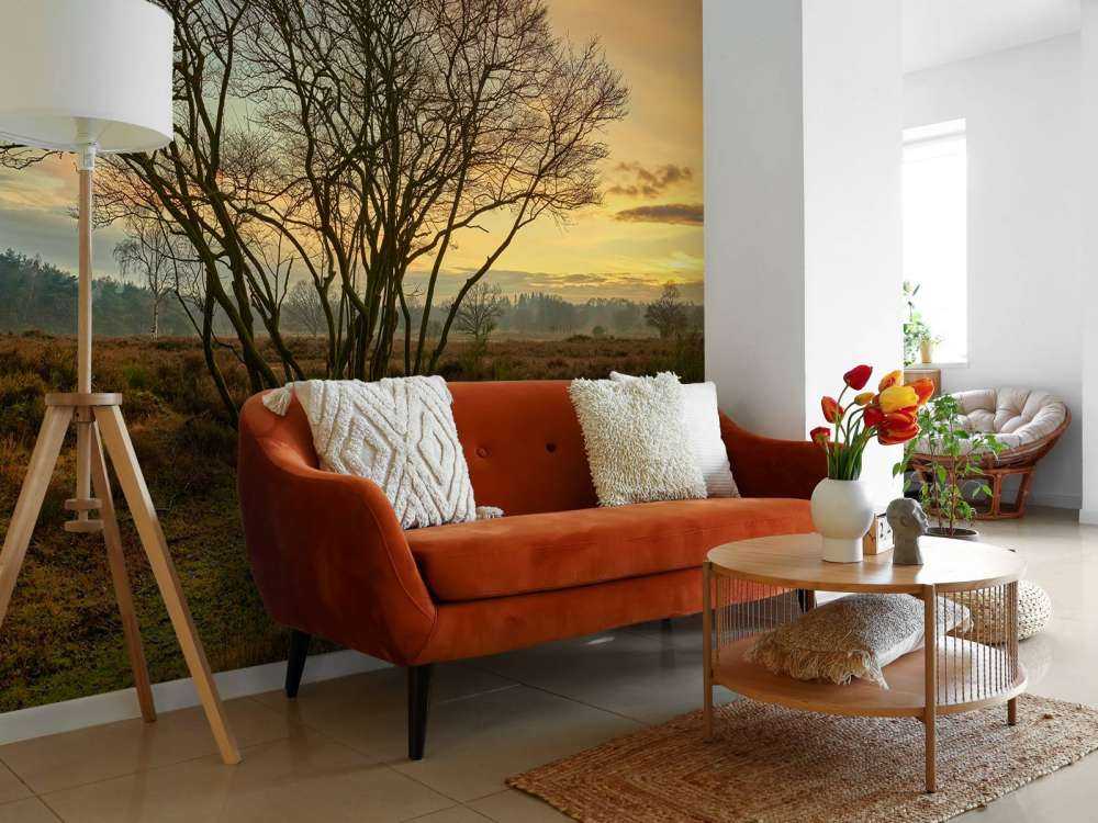 Soloppgang over heien