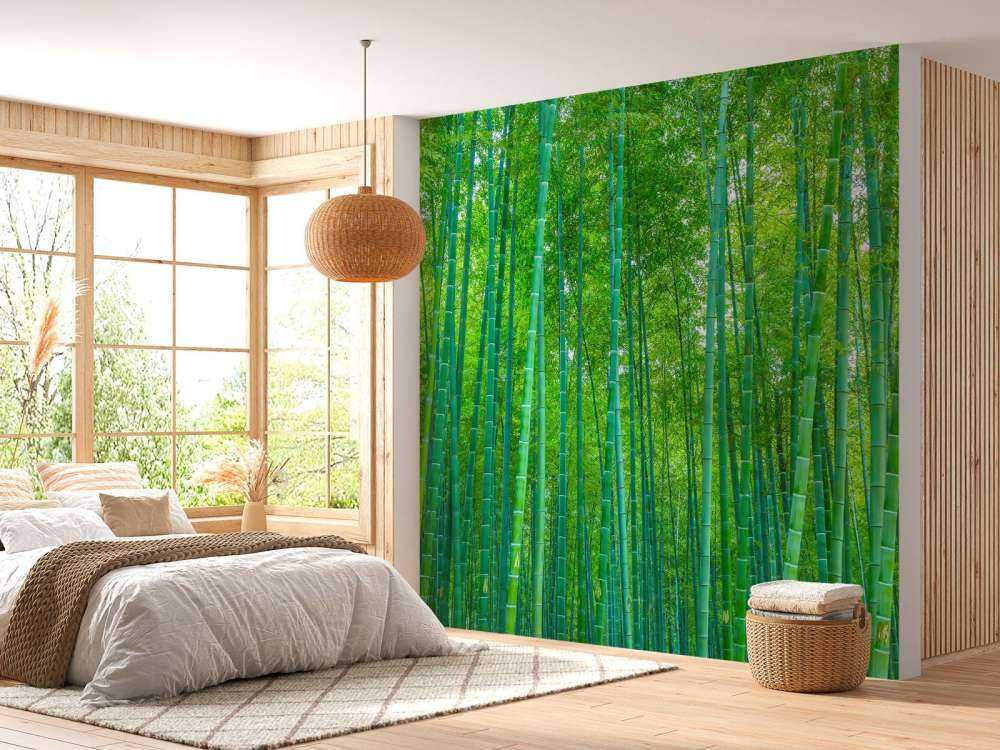 En grønn bambusskog