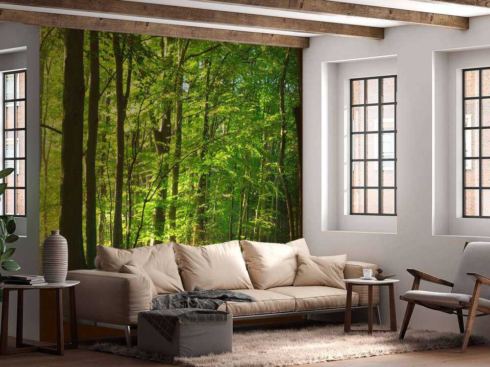 Solrik vei gjennom en skog