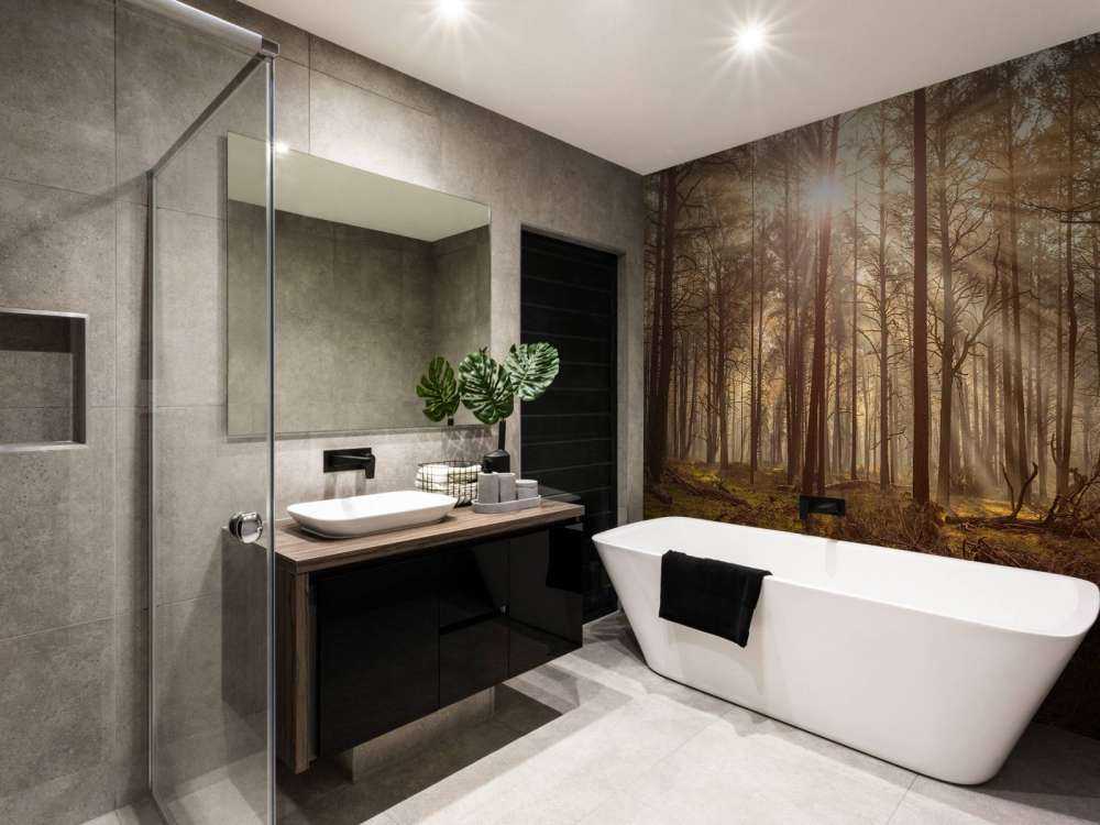 Skog med høye trær