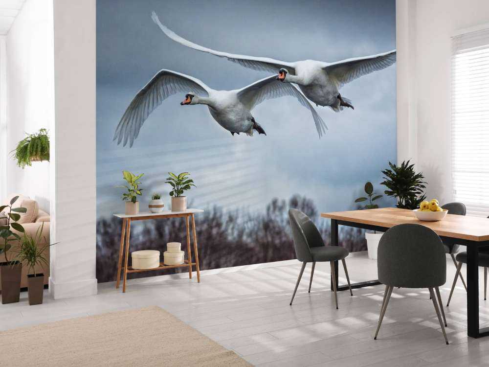 Flygende svaner