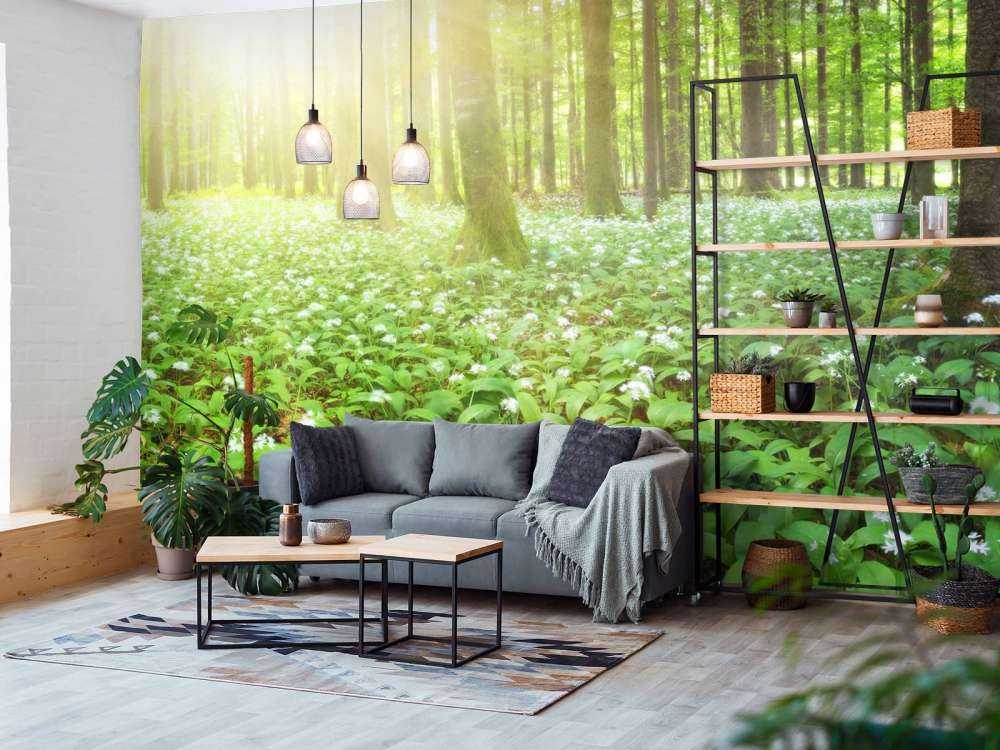 Vill skog ved soloppgang