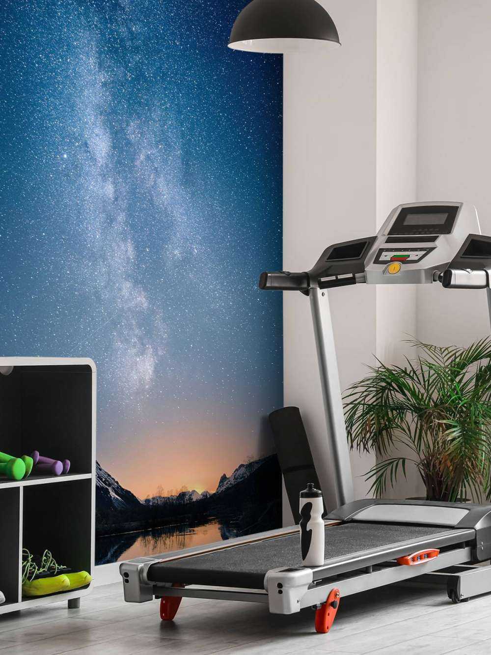 Stjernehimmel i Alaska