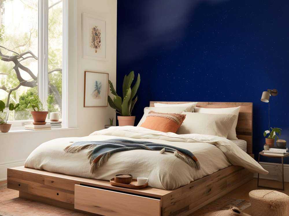 Stjerneklar natt