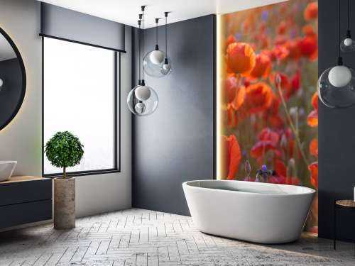 Valmuer og kornblomster