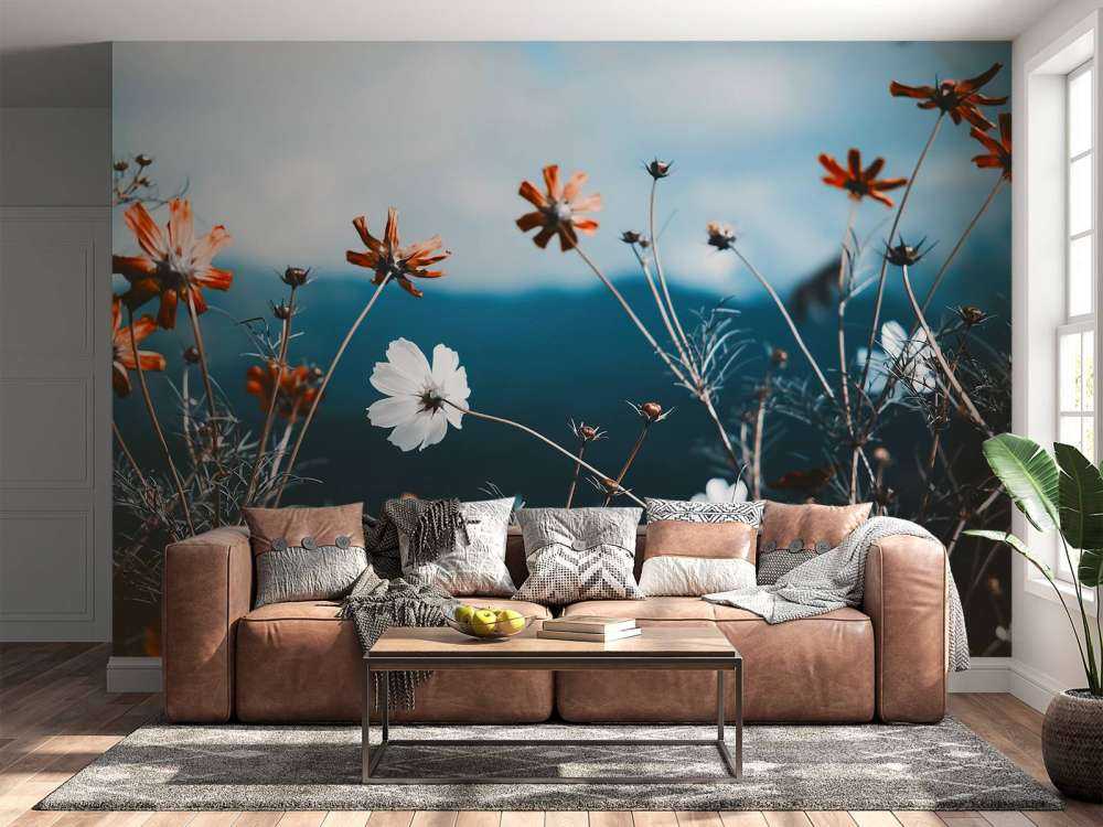 Kosmosblomster i marka