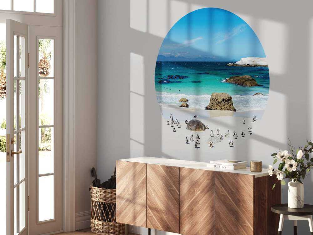 Strand med pingviner