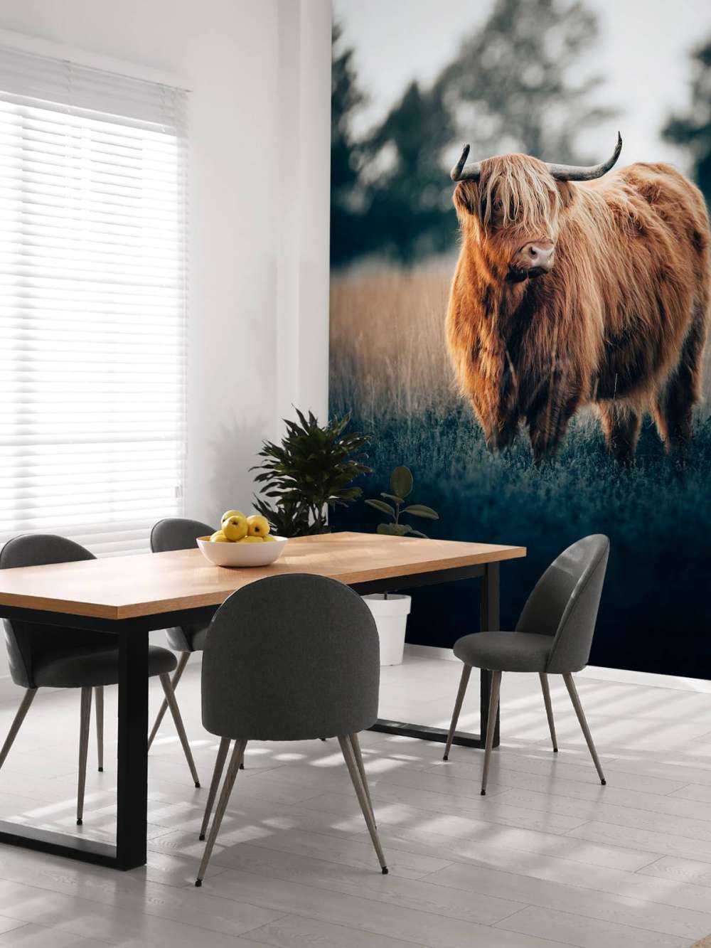 Portrett av høylandsfe