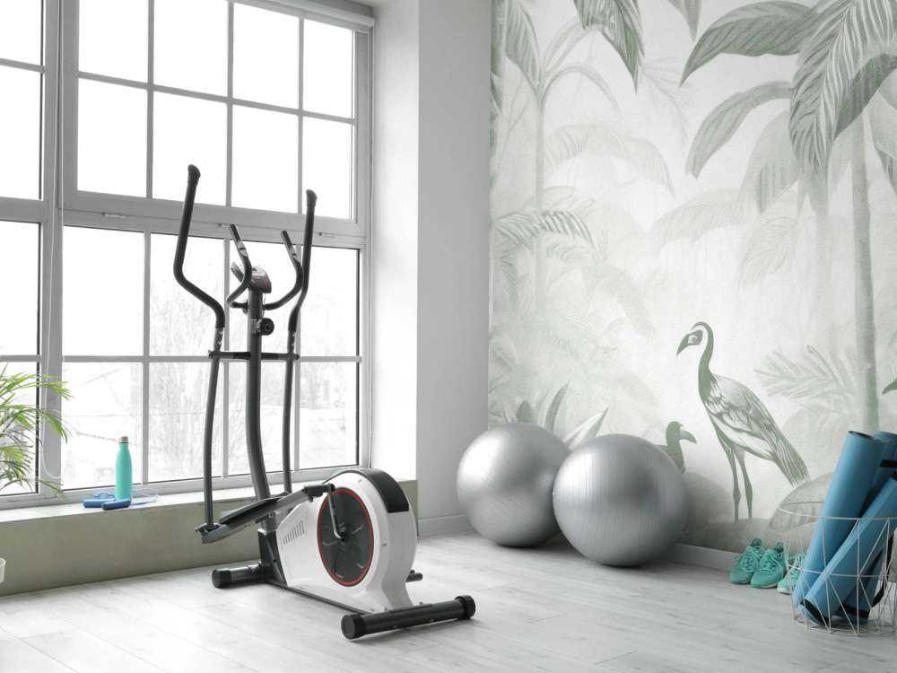 Skjult Jungel med Ibis, grønn