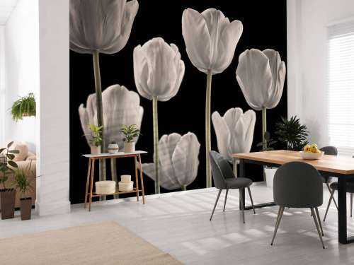 Flere tulipaner
