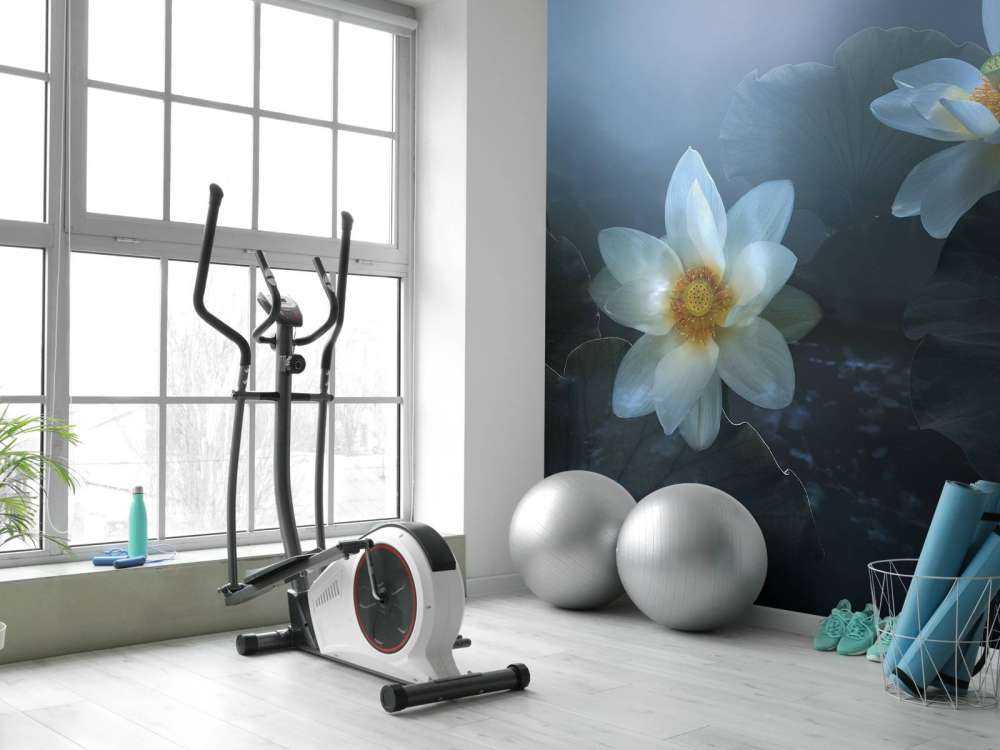 Fantasy Lotus