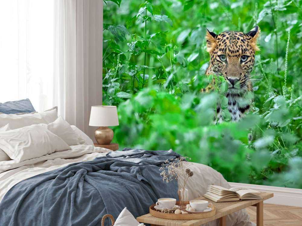 Leopard i skogen