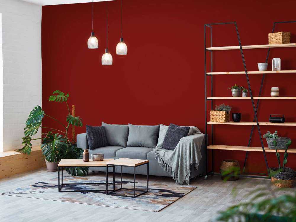 Filippinsk brun Mørk