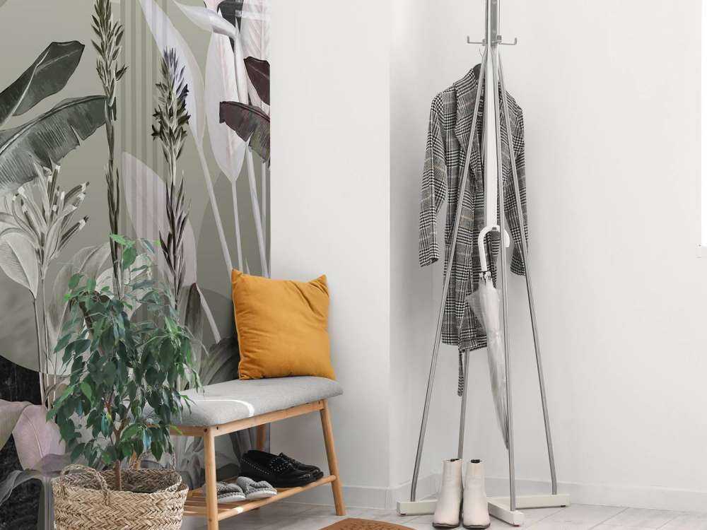 Dreams and Tropics 4