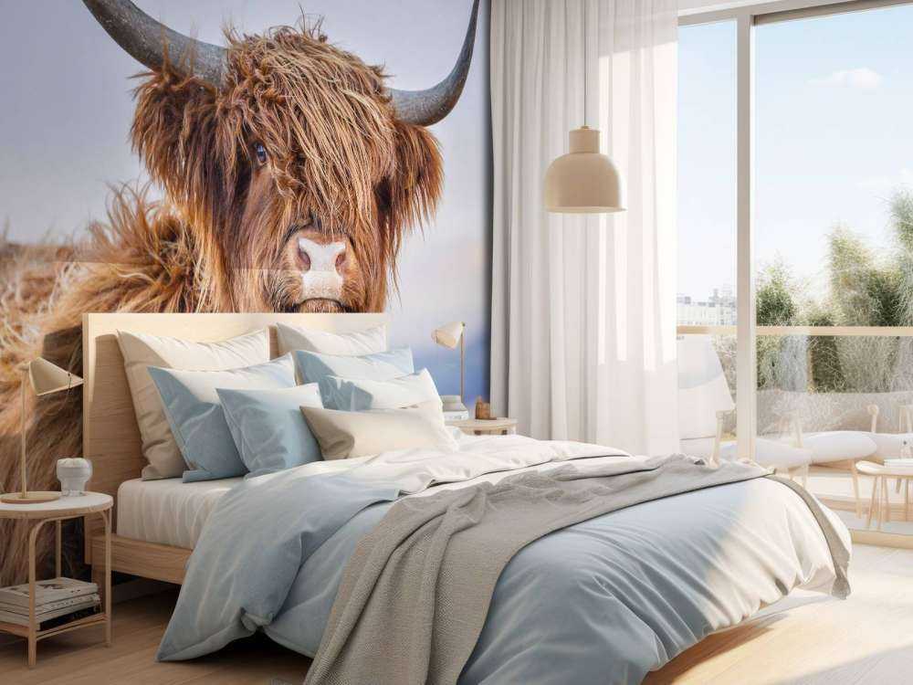 Stirrer det skotske høylandet