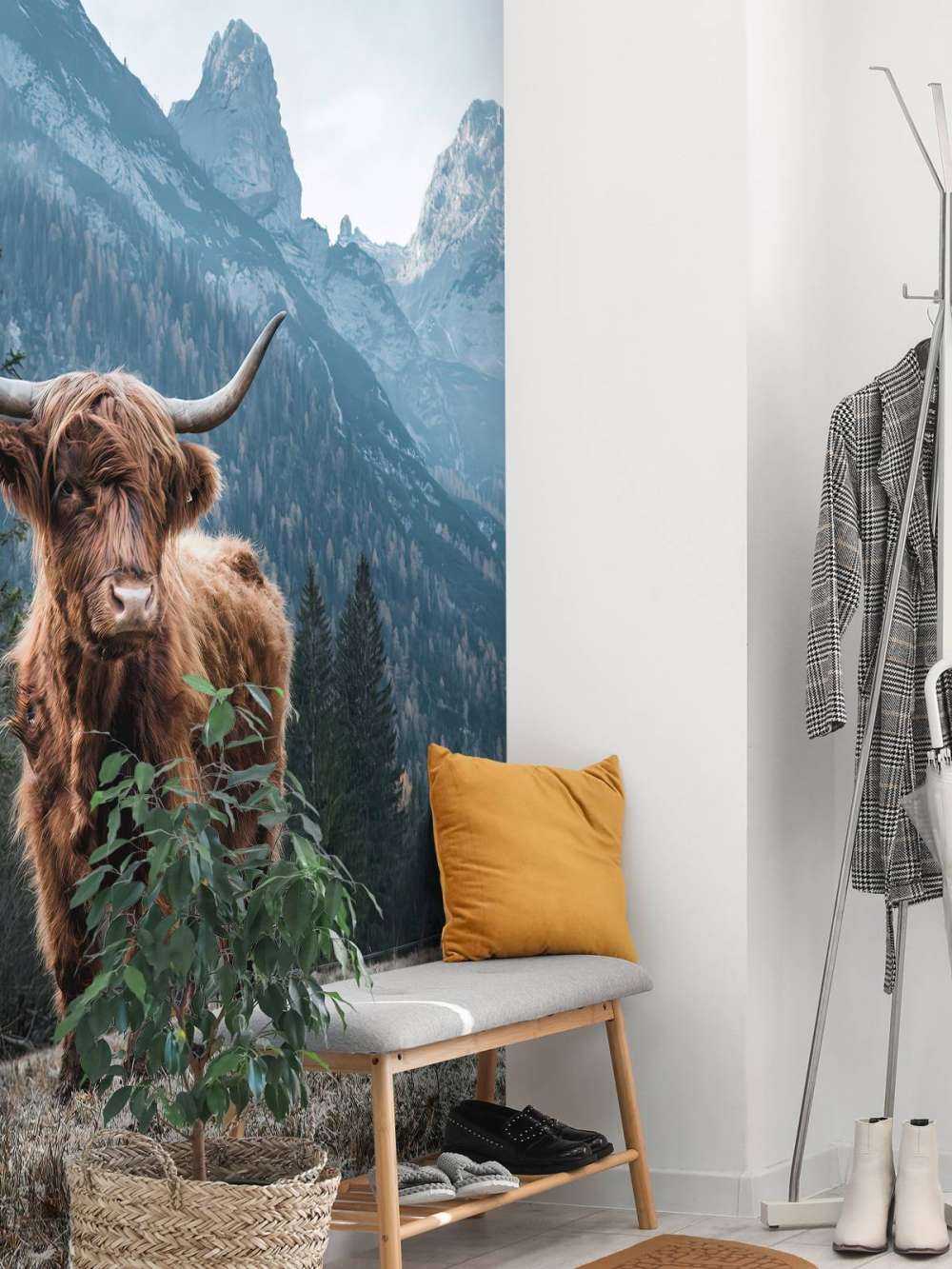 Det skotske høylandet blant trærne