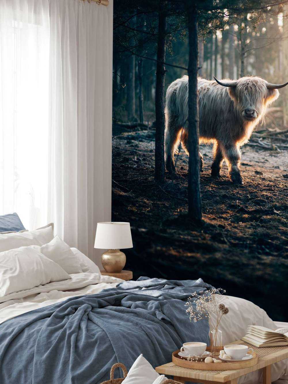 hvite skotske høylandet