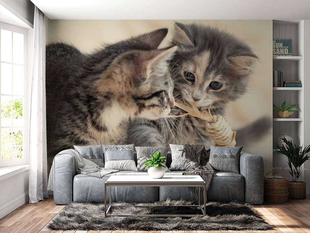 Leker kattunger