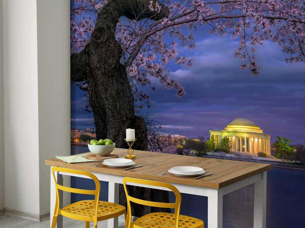 Cherry blossoms around the Jefferson Memorial