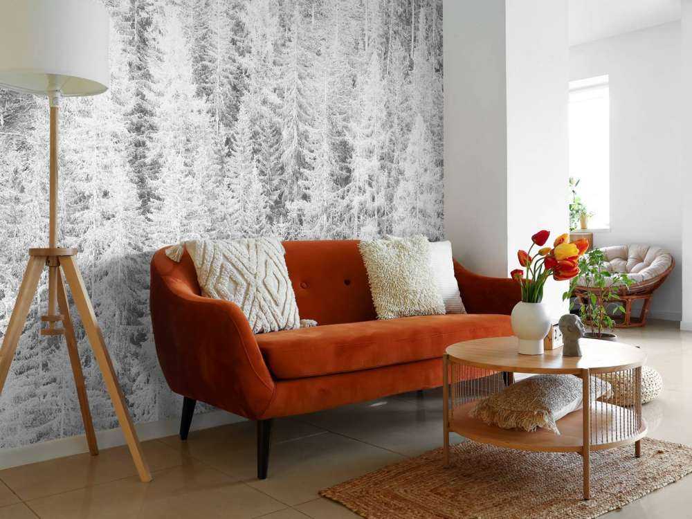 Bartrær i svart og hvitt