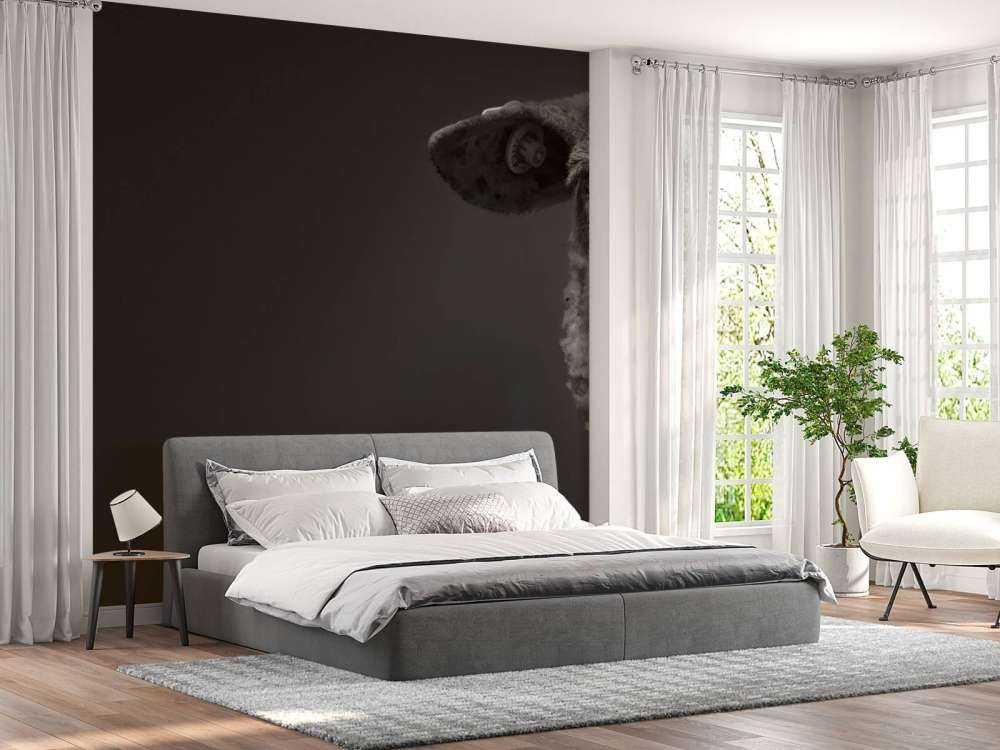 Nærbilde sauer svart og hvitt