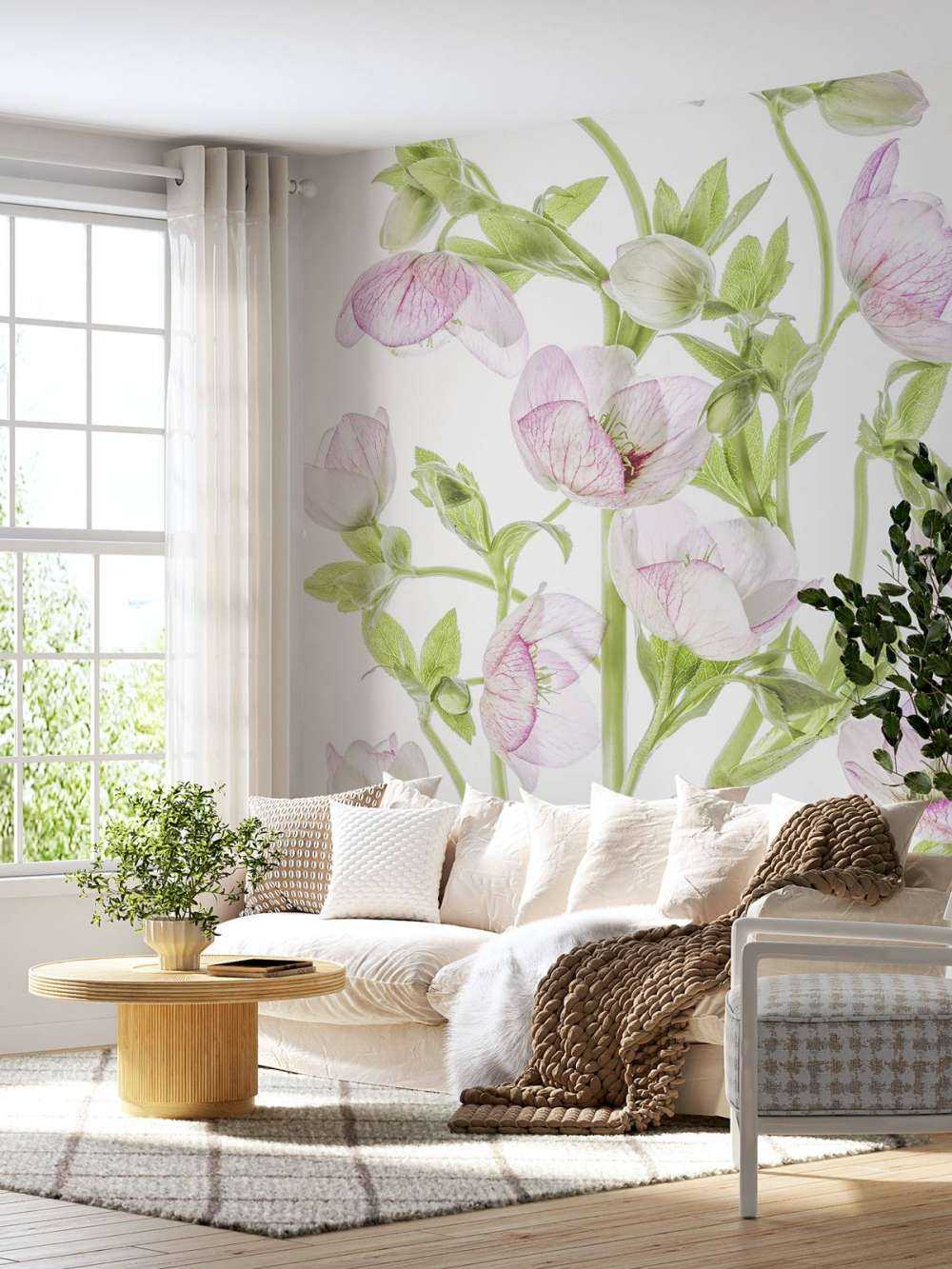 Hellebore