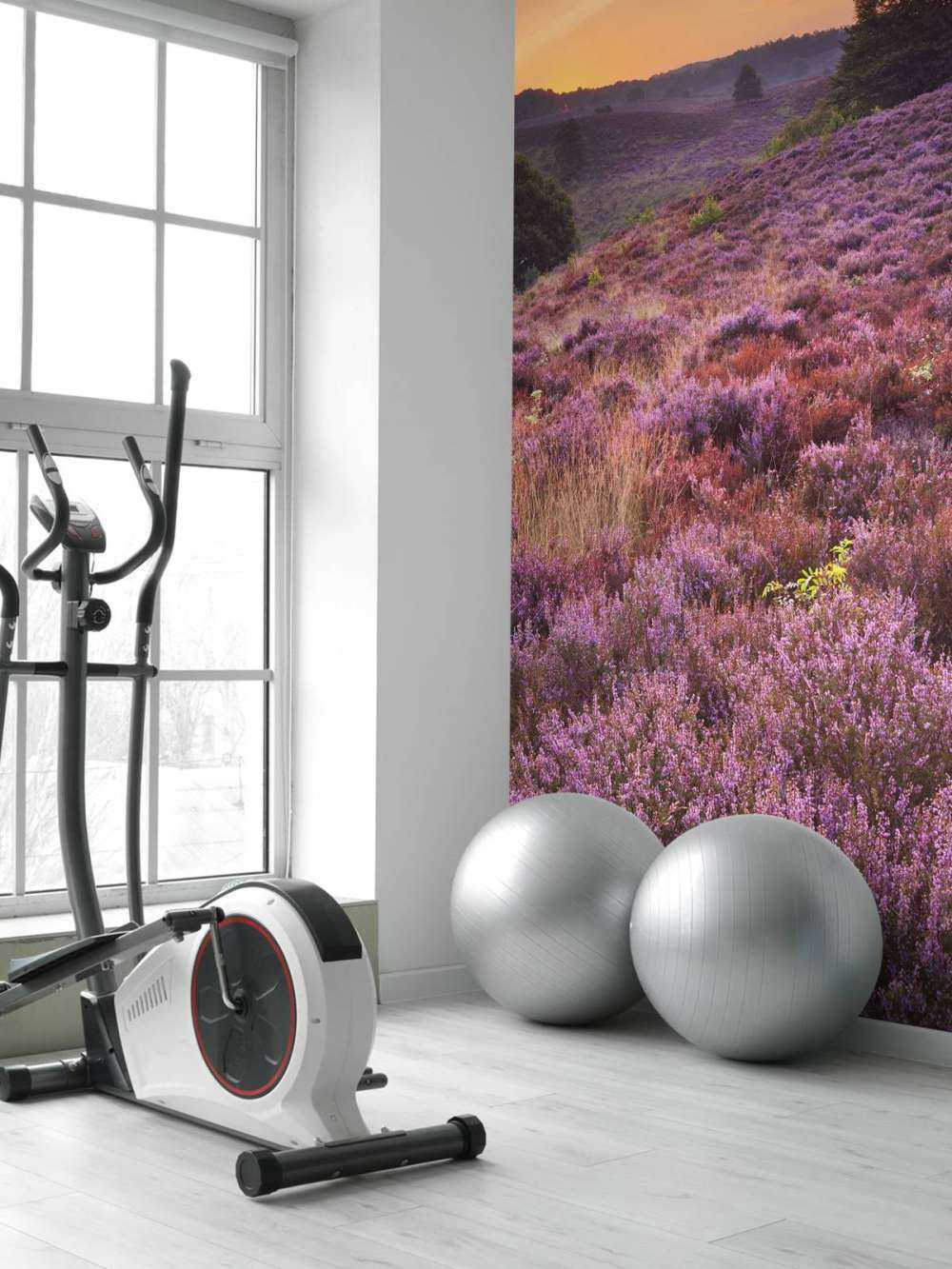 solnedgang i Posbank