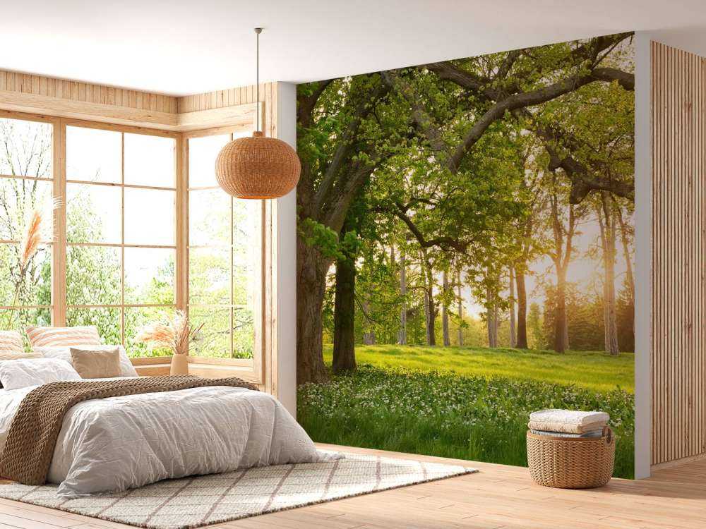 Åpen plass i skogen