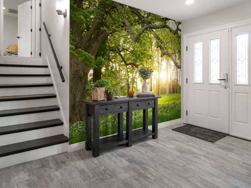 Åpen plass i skogen