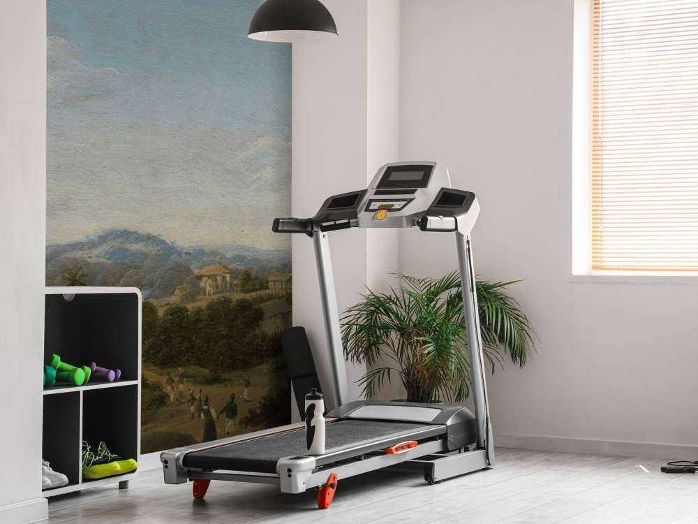 Brasiliansk landskapp