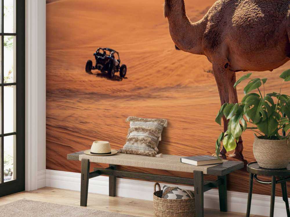 Offroad eventyr i ørkenen