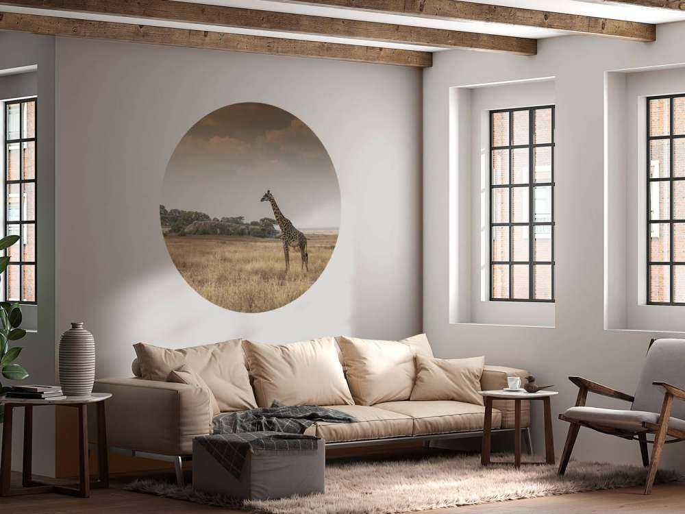 Giraffe på en savanne