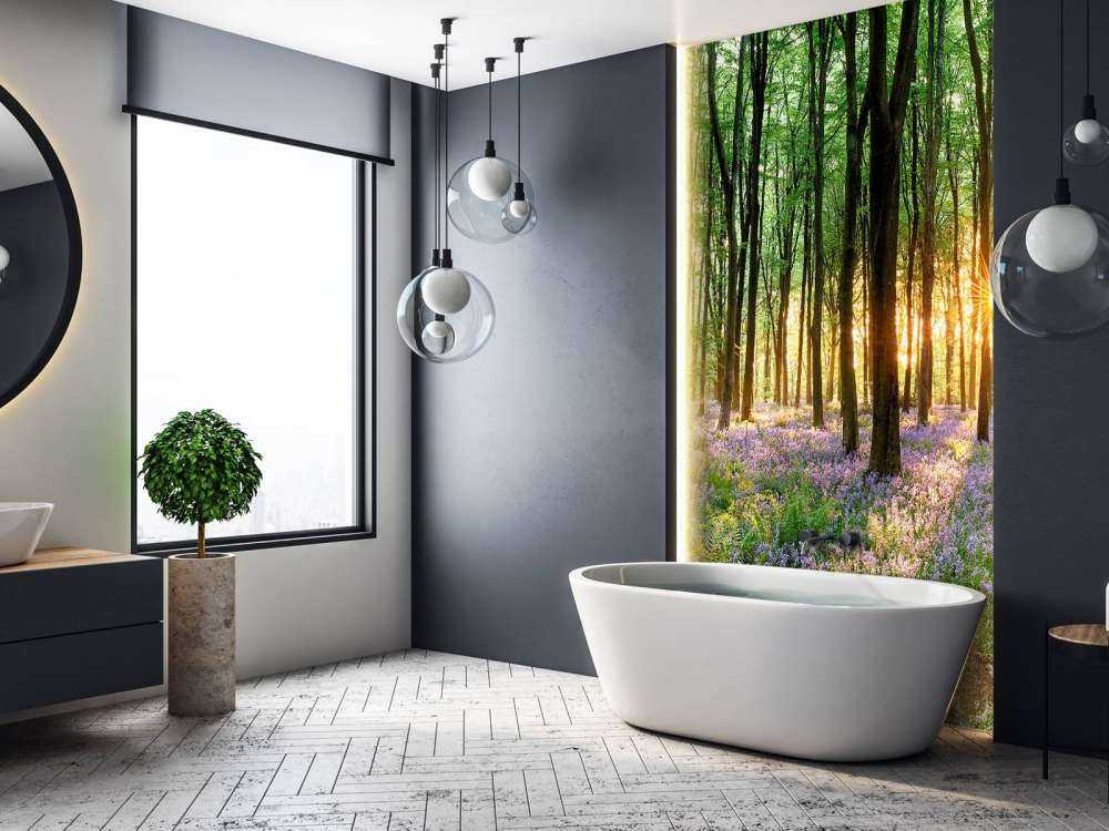 Skogsstig i soluppgång