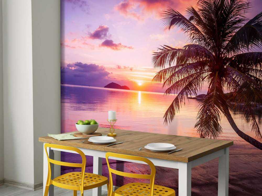 Palme vid solnedgång