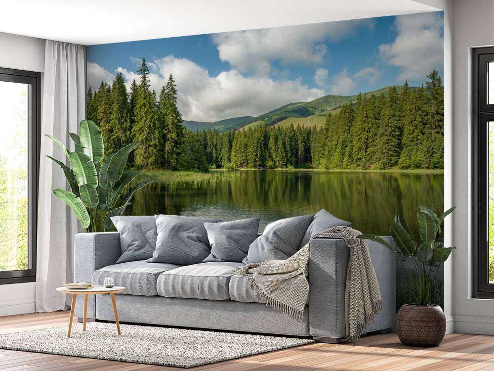 Sjön i skogen